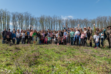 poza-grup-2-plantare.jpg